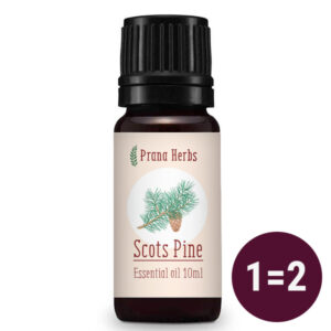 Harilik Mänd eeterlik õli Prana Herbs 10 ml - Tugev, mehine ja püsikindlust suurendav