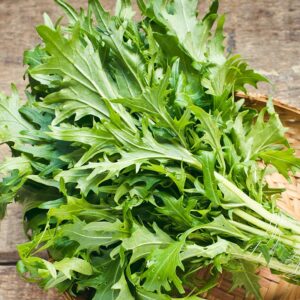 Семена водяного льна (Brassica rapa) De Bolster Mizuna - премиальные органические семена из Нидерландов