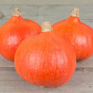 Семена кабачка (Cucurbita maxima) De Bolster Fictor - премиальные органические семена из Нидерландов.
