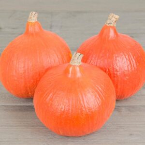 Семена кабачка (Cucurbita maxima) De Bolster Solor - премиальные органические семена из Нидерландов