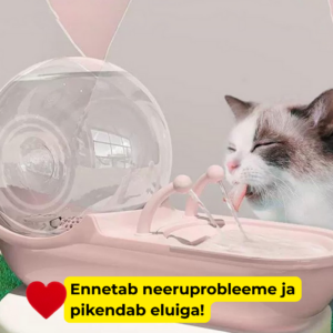 Lemmikloomade joogipurskkaev AquaPaws – Las teie lemmik elab kauem!